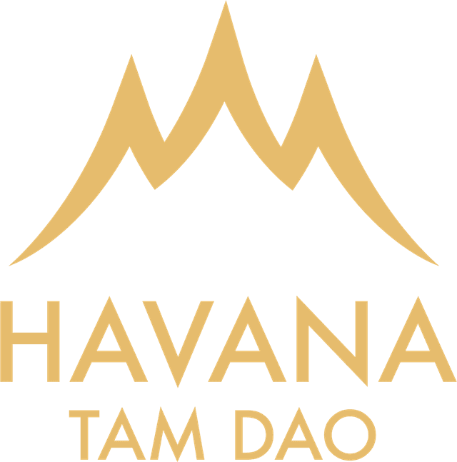 HAVANA PREVIEW