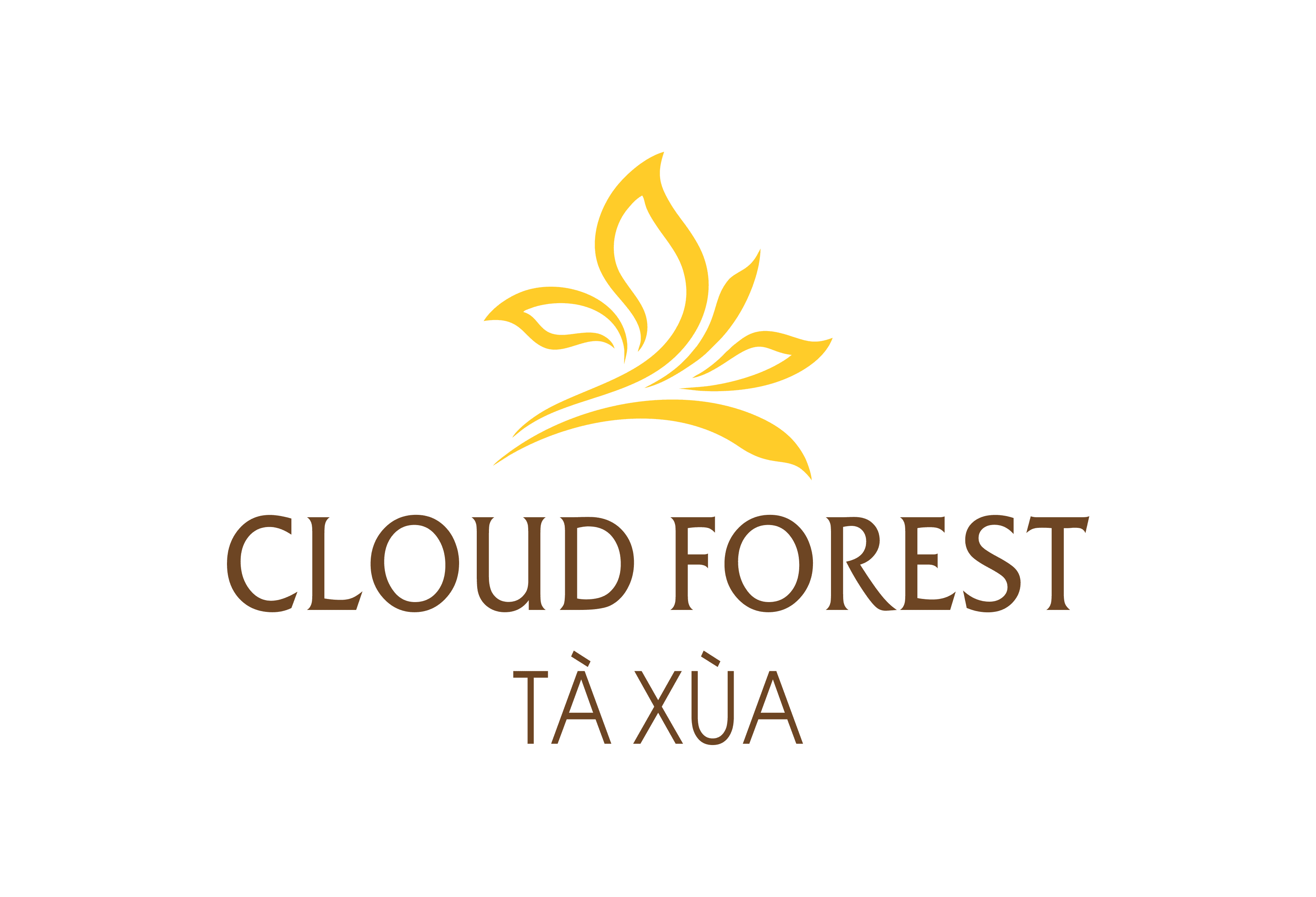 cloud-forest-preview