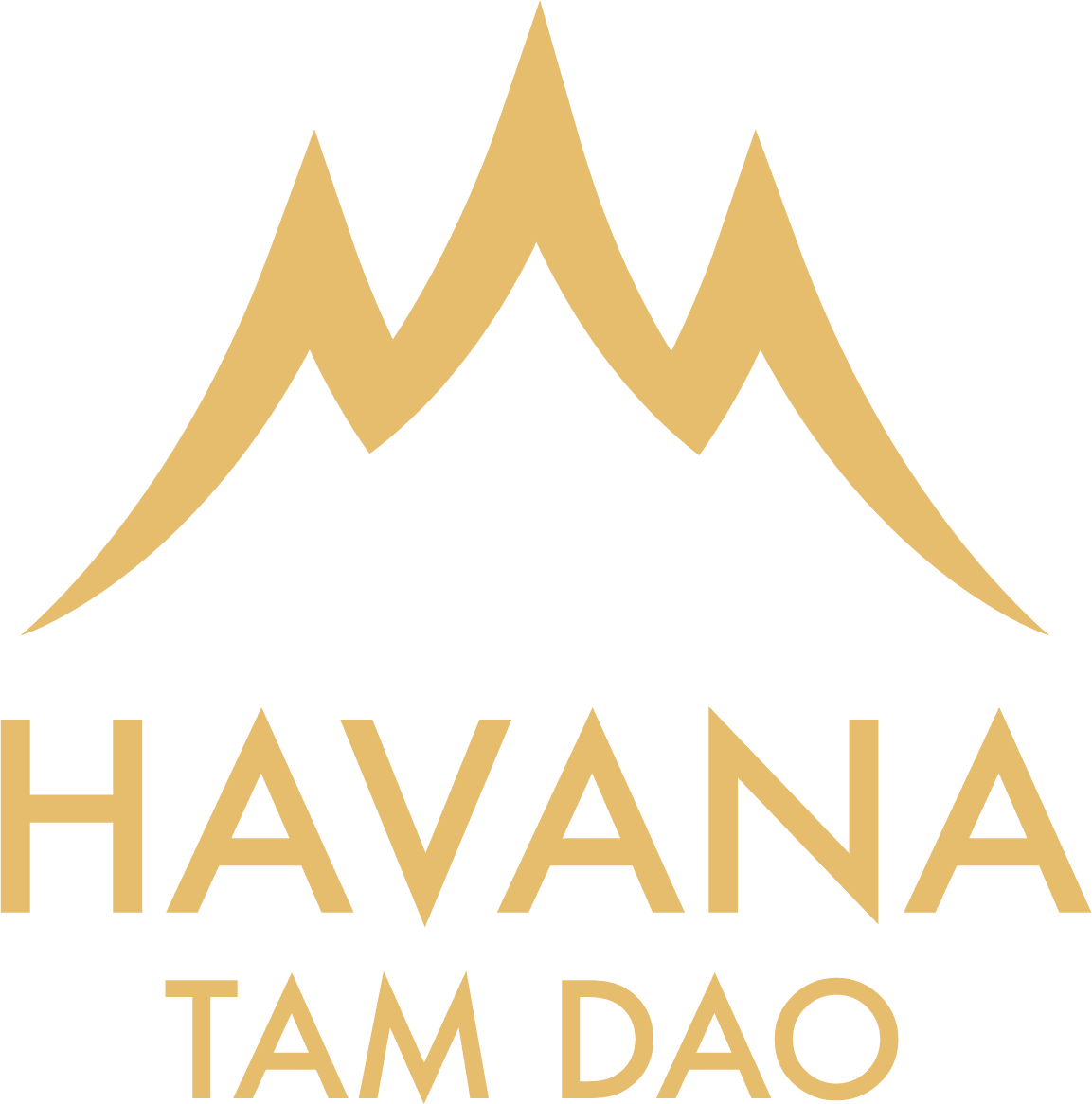 havana-tamdao-logo-preview